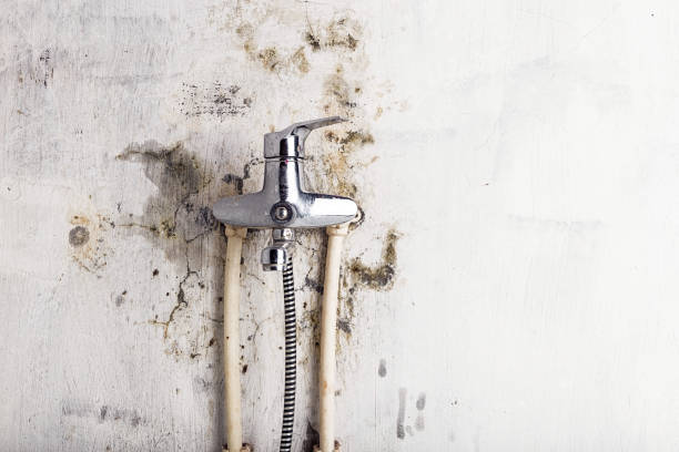 Best Mold Testing  in Columbia, KY