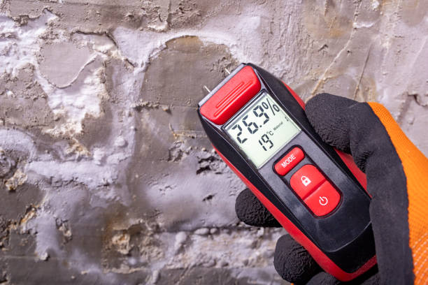 Best Local Mold Removal Service  in Columbia, KY
