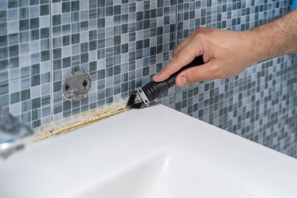 Mold Testing and Removal in Columbia, KY