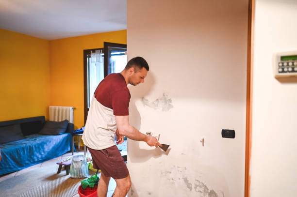 Best Fast Mold Removal  in Columbia, KY