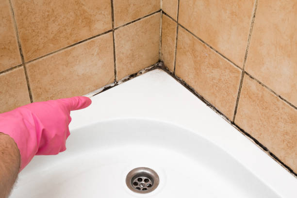 Best Crawl Space Mold Removal  in Columbia, KY